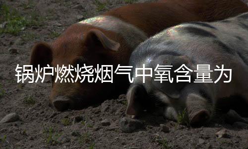 锅炉燃烧烟气中氧含量为什么不能超过6%? 如何降低烟气中的氧含量?
